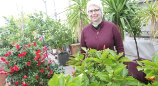 Im Bad Lippspringer Blumenhotel kommen Pflanzen durch den Winter