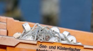 Ostseefischer dürfen 2025 weiter Hering fangen