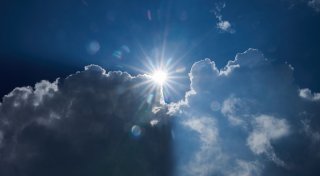 Extrem trockener März - Jahr mit weniger Summen und Singen?