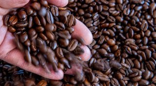 Kaffeepreis steigt deutlich stärker als die Inflation