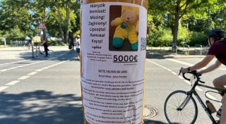 Vermisster Teddy in Berlin: Bielefelder erhöht Belohnung auf 5.000 Euro