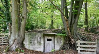 Versteckter Luftschutzbunker von Familie im Kreis Gütersloh: Das hat es damit auf sich