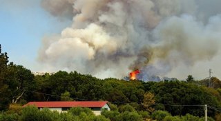 Waldbrandgefahr: Wetterdienst meldet mittlere Warnstufe in Teilen von OWL
