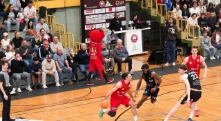 Zurück in der 2. Liga: Paderborn Baskets erhalten Wildcard für die ProA