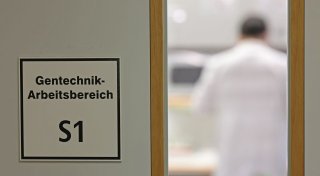 Was hat die EU zum Thema Gentechnik entschieden?
