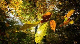 Milde Wetterlage in Sicht - Bis zu 20 Grad am Donnerstag
