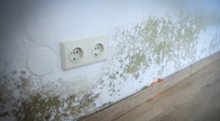 Gütersloher Experte verrät hilfreiche Tipps gegen gefährlichen Schimmel in der Wohnung