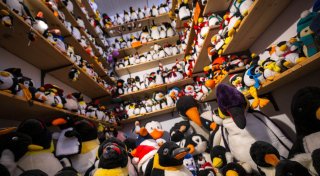 Pinguine im Schlussverkauf - Museum schließt