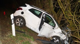 Tier auf der Straße: Auto prallt bei Büren gegen einen Baum