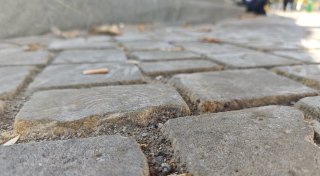 Zigarettenkippen im Kreis Höxter: Warum Wegschnippen kaum sanktioniert wird