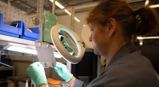 Deutsche Umwelttechnik-Start-ups mit an der Spitze