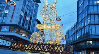 Statt Weihnachtsbaum: Eichhörnchen am Jahnplatz spaltet die Bielefelder