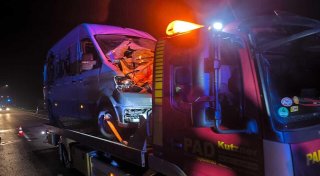 Nach Pferde-Unfall in Porta Westfalica: Ist eine Tier-Versicherung sinnvoll?