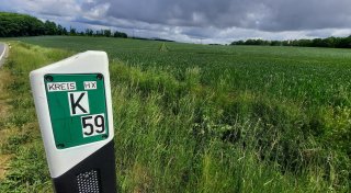 Für Riesen-Umspannwerk im Kreis Höxter soll Waldstück gerodet werden