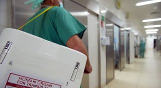 Zweiter Anlauf zu neuen Regeln für Organspenden