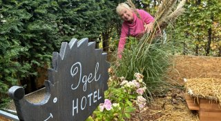 Mit Video: Herforder Familie findet sechs Igelbabys im Garten