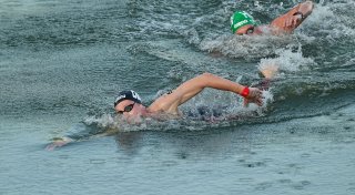 Wellbrock gewinnt Freiwasser-Weltcup in Ägypten