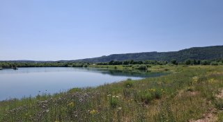 Alte Kiesgrube im Kreis Höxter soll ein Badesee werden