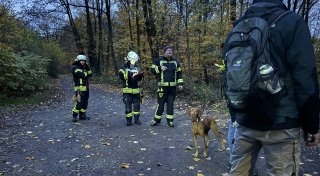 Handgranaten in Bielefeld gesprengt: Explosive Funde im Wald - mit Video