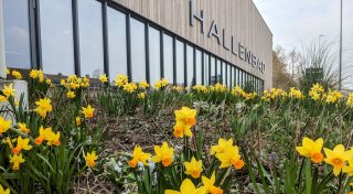Kaputte Fliesen im Hallenbad Höxter: So geht es jetzt weiter