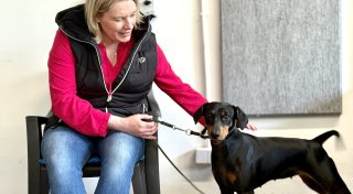 Beliebte Hundetrainerin aus dem Kreis Höxter hat Rat für alle, die Hunde lieben