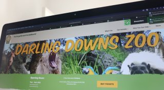 Löwen-Angriff in australischem Zoo: Frau verliert Arm