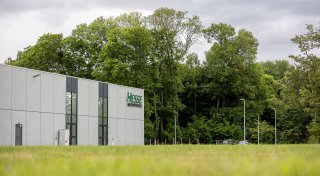 Paderborner Hesse-Wäldchen: Umweltschützer klagen gegen Rodung