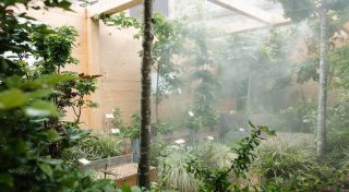 100.000 Euro für eine Kiste in Paderborn: Klimaschutzprojekt wirft Fragen auf