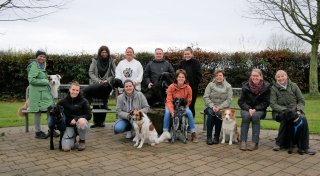 Erste Hilfe am Hund: Wie Sie Ihrem Haustier im Notfall helfen