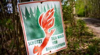 Waldbrandgefahr steigt: Wie Sie sich richtig verhalten
