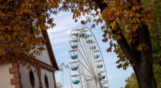 Herbstlibori 2024 in Paderborn: Diese Fahrgeschäfte stehen auf dem Liboriberg