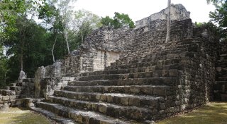 Große Maya-Siedlung im mexikanischen Dschungel entdeckt