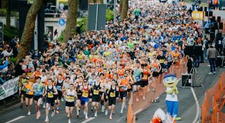 77. Osterlauf in Paderborn: Die Sieger und die besten Fotos