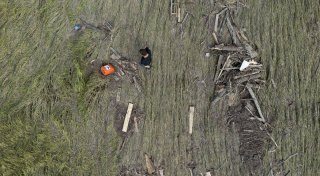 Dürre und Starkregen: Besserer Schutz für Landwirte?