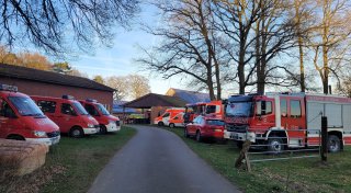 Bizarrer Rettungseinsatz in Gütersloh: Schweine brechen in Güllebecken ein