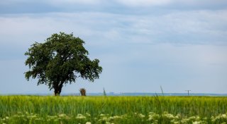 Auf Frühsommer folgt «Frühdusche»