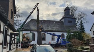 Auch in Höxter bekannt: Mächtige Eiche vor Boffzener Kirche gefällt