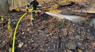 Trockener Rekord-März: Staubige Böden und Waldbrandgefahr in OWL
