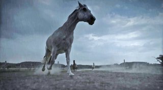 Ausstrahlung in der ARD: Detmolder Naturfilmer zeigt tierisches Verhalten bei Gewitter
