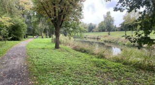 Darum wird der Rasen im Werreauenpark in Löhne nur so selten gemäht
