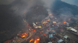 Brände in Ostasien - mindestens 24 Tote in Südkorea