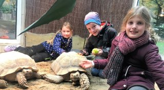 „Huch, ist der gierig“: Was Jonna, Frieda und Johann als Tierpfleger im Tierpark Herford erlebten