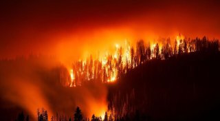Waldbrand bedroht Riesenmammutbäume in Kalifornien