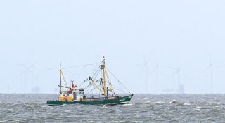 EU-Gericht nickt Fangverbote in der Nordsee ab