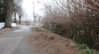 Straßen-Schmutz in Löhne: Anliegerin fordert Reinigung des Weges