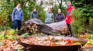 Ökologisches Grabfeld in Herford: Friedhof setzt auf Biodiversität statt Stein und Kies