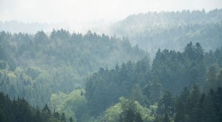 Tschüss Grau: Sonnigeres Wetter zur Wochenmitte