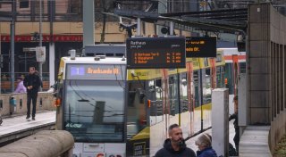 Ausbau der Linie 1 in Bielefeld: deutliche Kritik von Naturschützern