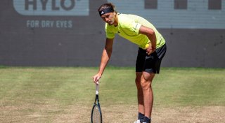 Zverev in Halle zum dritten Mal in Serie im Halbfinale