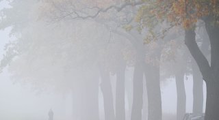 Ruhiges und graues Herbstwetter am Wochenende